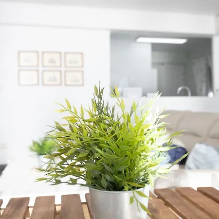 Apartament Mar Y Puerto *